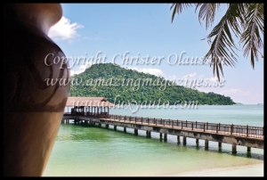 copyright_christer_olausson_malaysia_121